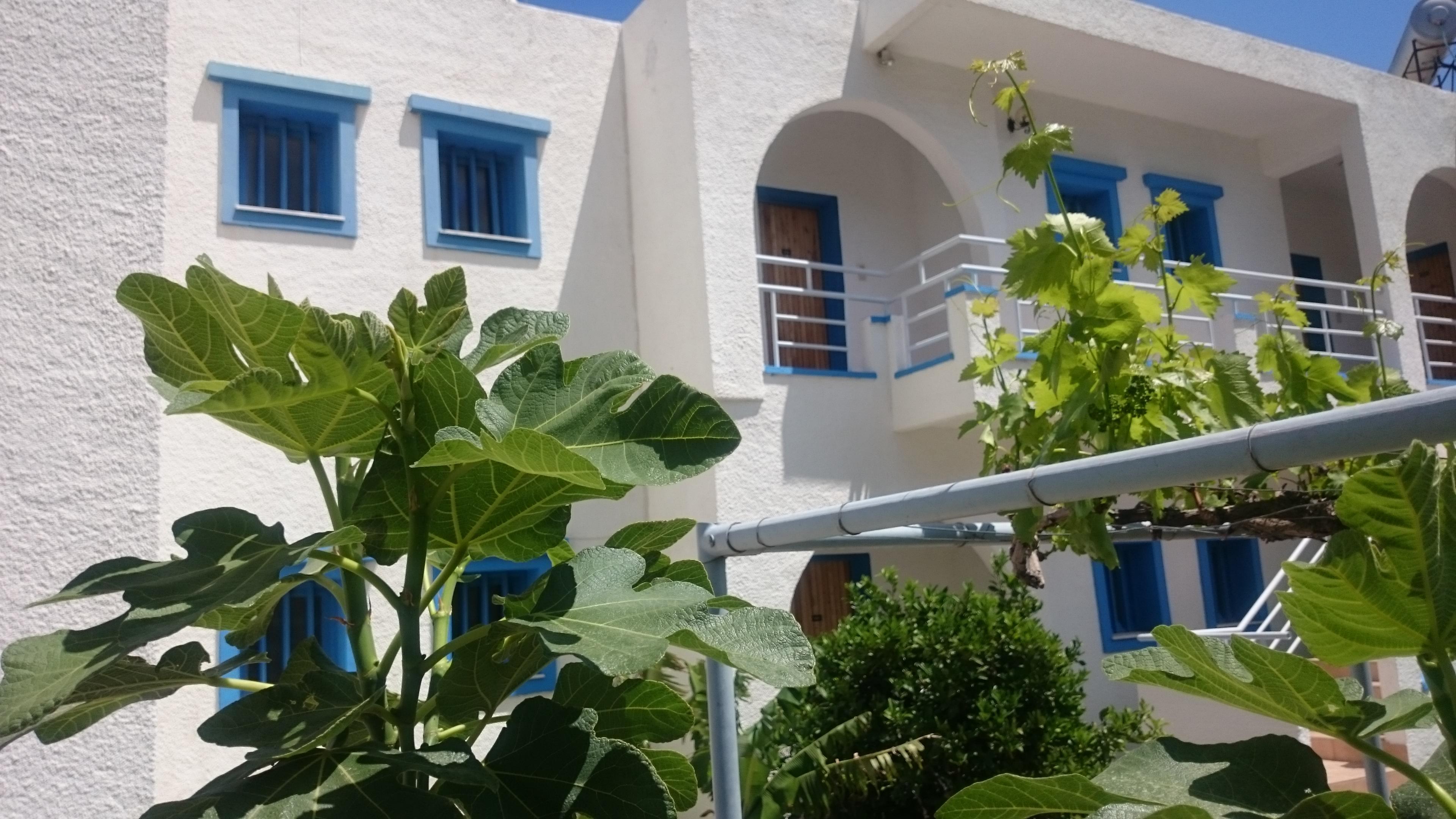 Amazones Villas Apartments Chersonissos Buitenkant foto
