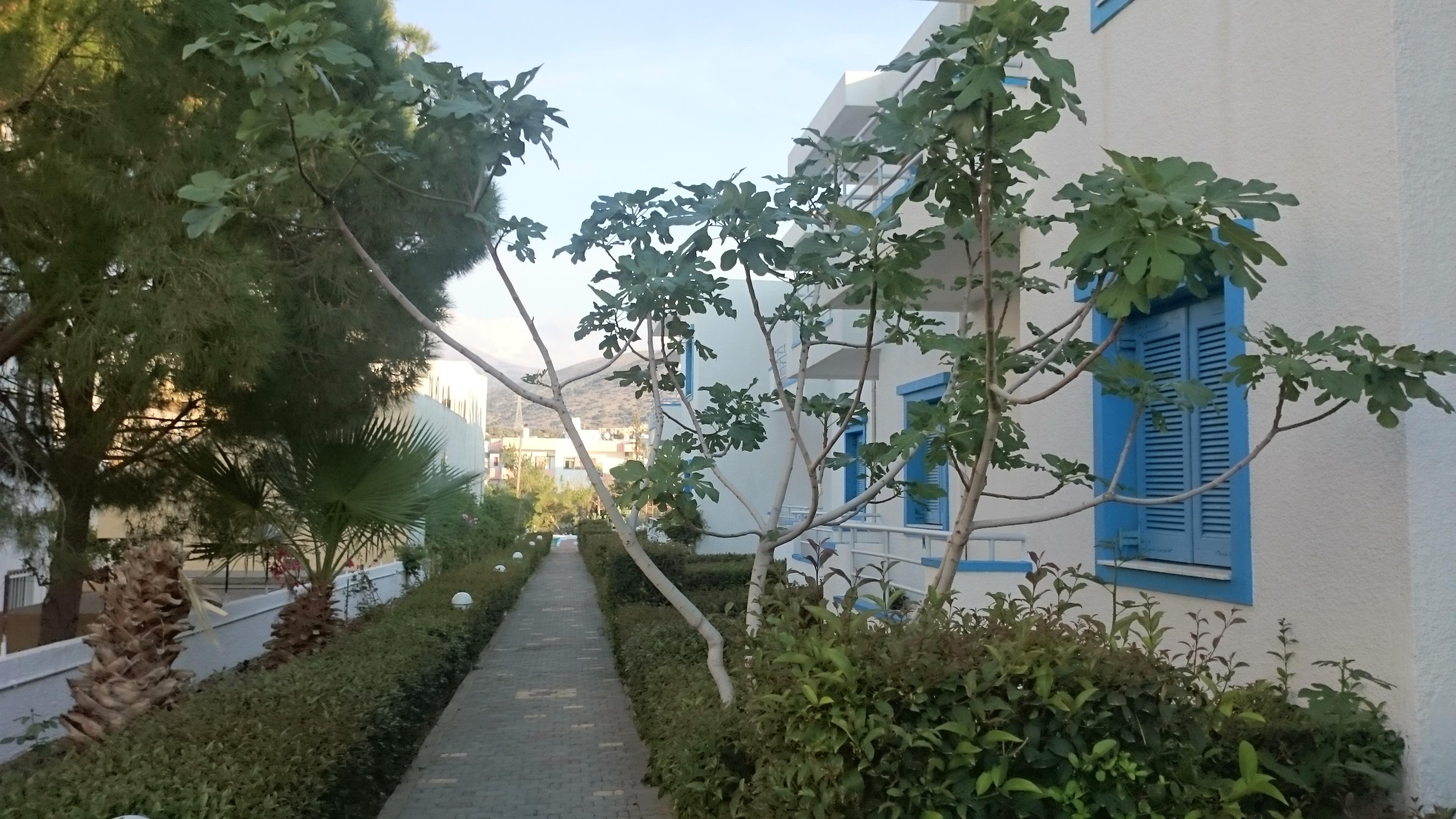 Amazones Villas Apartments Chersonissos Buitenkant foto